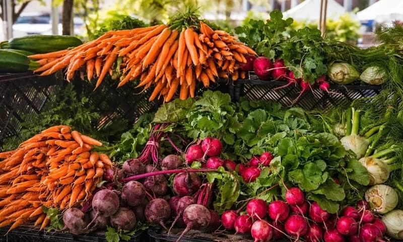 Bulk crates of fresh organic vegetables in a warehouse