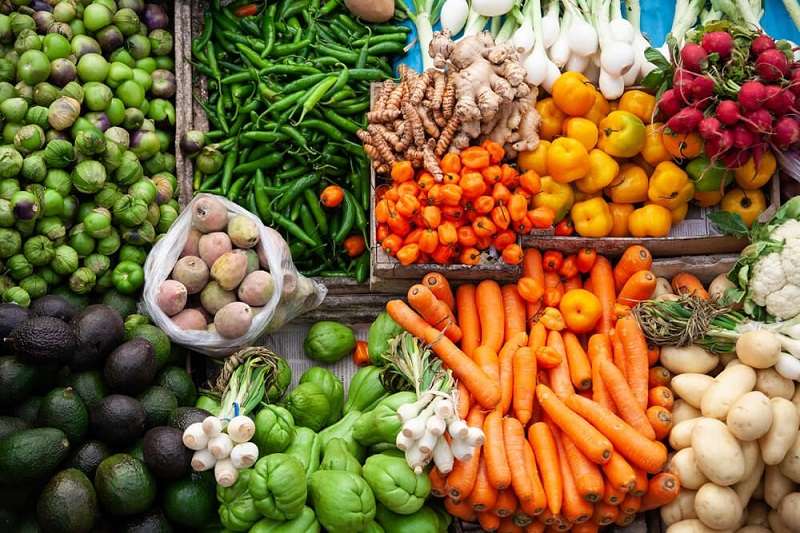 Fresh organic vegetables from Nidhina Sudhina Farm